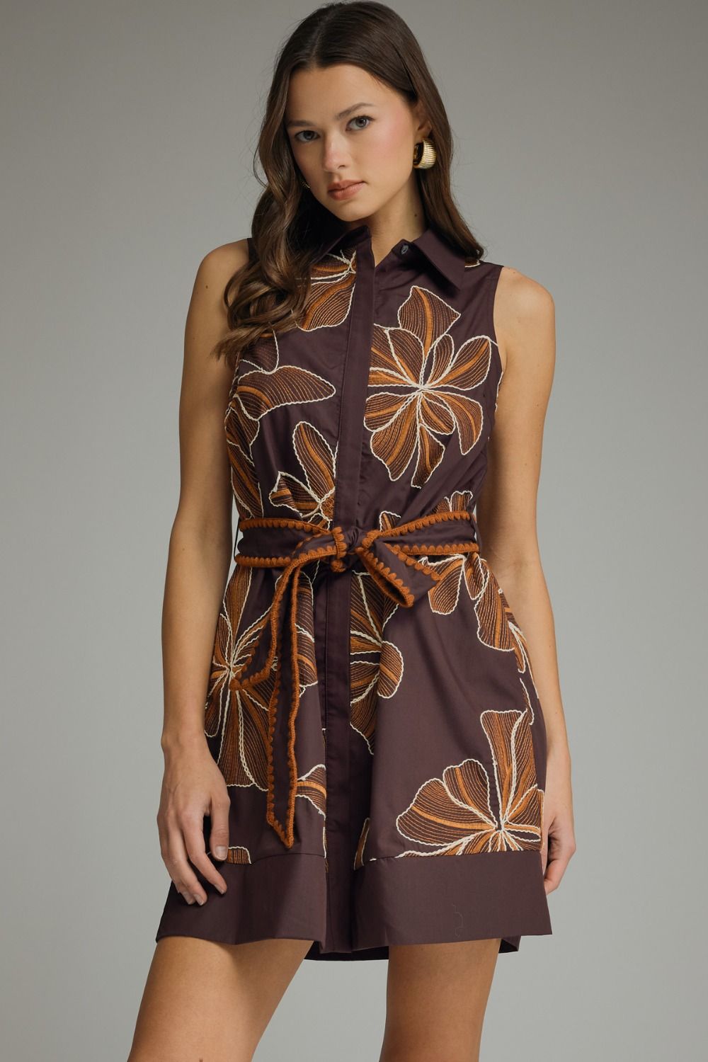 S96528_BROWN_5603109